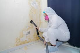 Best Comprehensive Air Testing for Mold Contaminants  in Narrows, VA